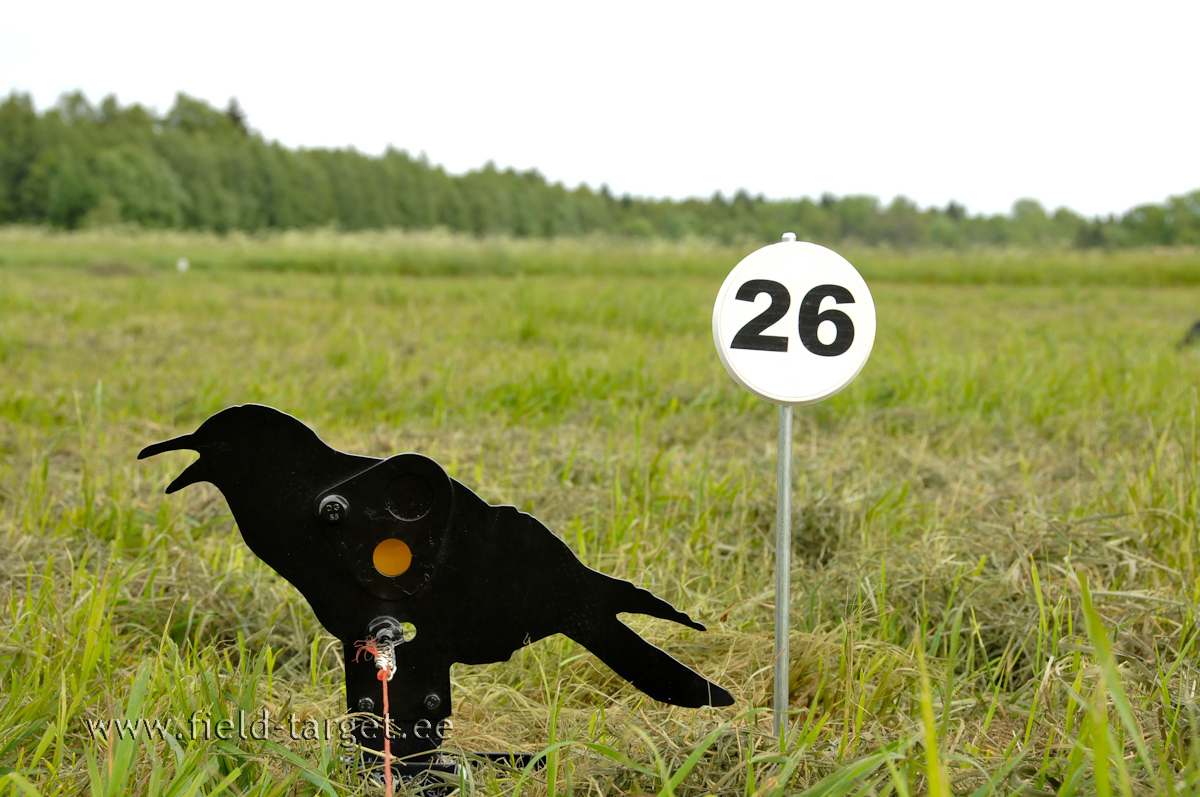 Vares 20 mm 25 m kaugusel